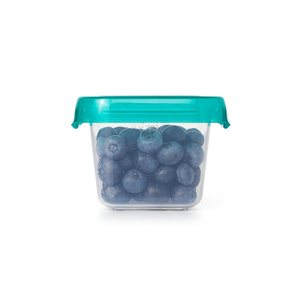 Oxo HK Sale Oxo Tot Baby Blocks Freezer Storage 6 Oz Teal